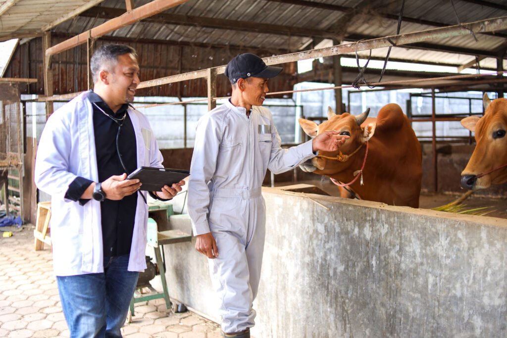 Ganadero lechero en Cantabria